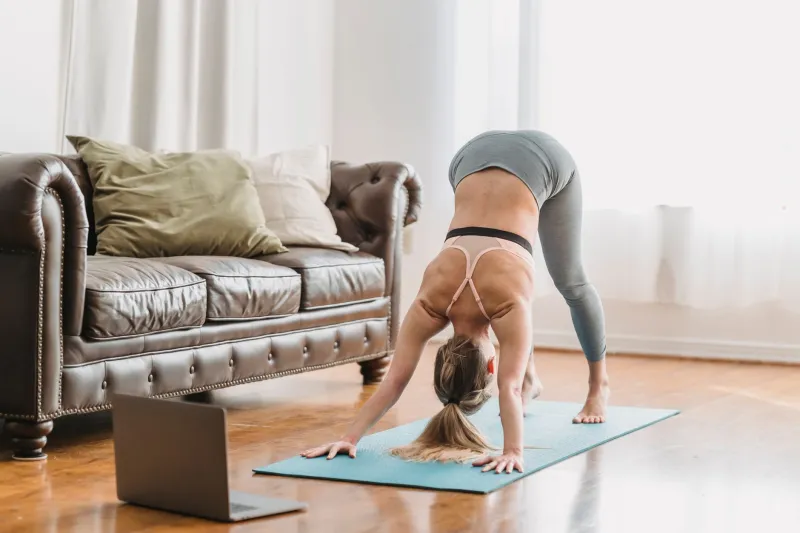Fur, Paws, and Planks: How to Stop Fighting Your Pet and Start Working Out With Them